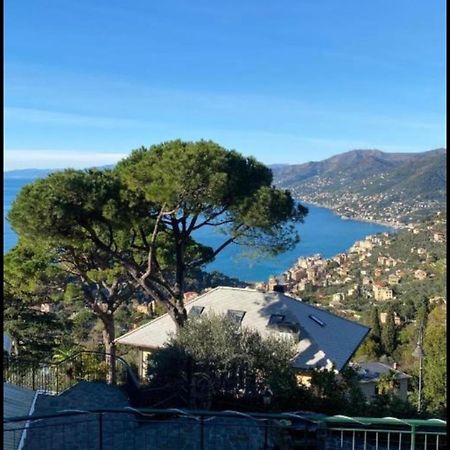 Casa Portofino Apartment Camogli Exterior photo